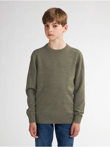 Strick Basic Pullover Absaroka in Grün