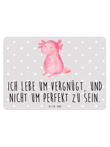 Mr. & Mrs. Panda Blechschild Axolotl Niedlich mit Spruch in Grau Pastell