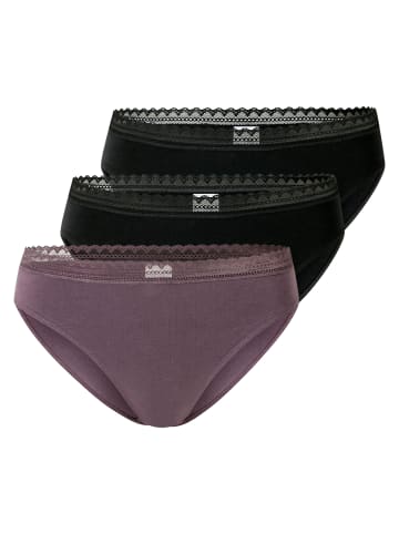 Schiesser 3er Pack Rio Slips Modern Multipacks in Mehrfarbig