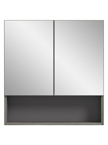 ebuy24 Spiegelschrank Silver Rauchfarbenen 60 x 16 cm