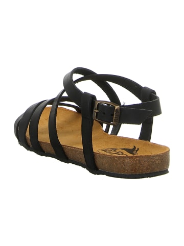 Plakton Sandalen in Schwarz