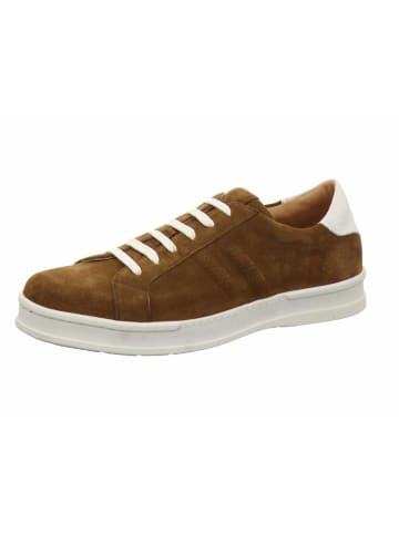 Aldo Brue Schnürschuhe in braun