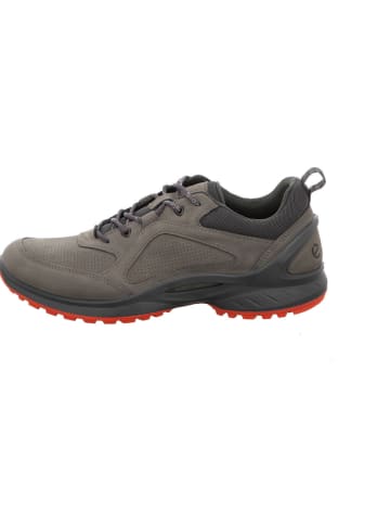 Ecco Sneaker in grau