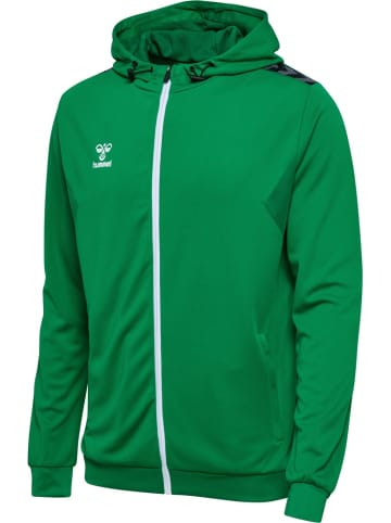 Hummel Trainingsjacke "Hmlauthentic Pl Zip Hoodie" in Multicolor