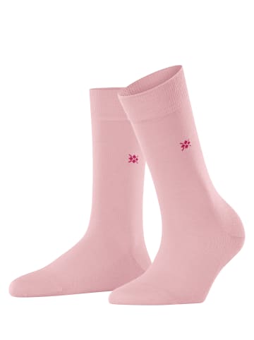 Burlington Socken Bloomsbury in Rosewater