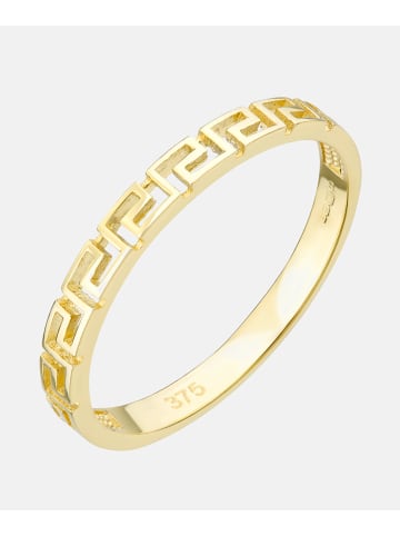 Vanlere Ring aus 375 Gelbgold