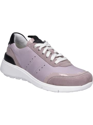 Josef Seibel Sneaker Giulietta 01 in viola-multi