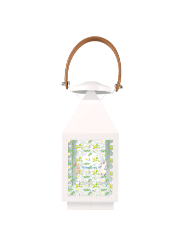 Mr. & Mrs. Panda Laterne Maus Pinguin Geburtstag ohne Spruch in Transparent