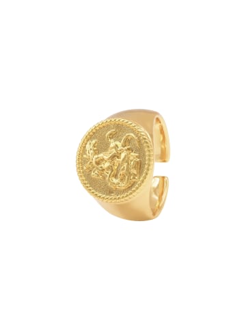 Steel_Art Siegelring Herren Rurik goldfarben in goldfarben