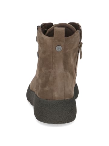Caprice Schnürschuhe in taupe suede