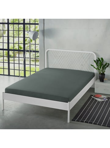 Erwin Müller Single-Jersey Spannbettlaken Freising in anthrazit