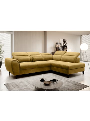 MF Design Nobel Recamiere Rechts in Senfgelb -  (L) 265 x (B) 265 x (H) 100 cm
