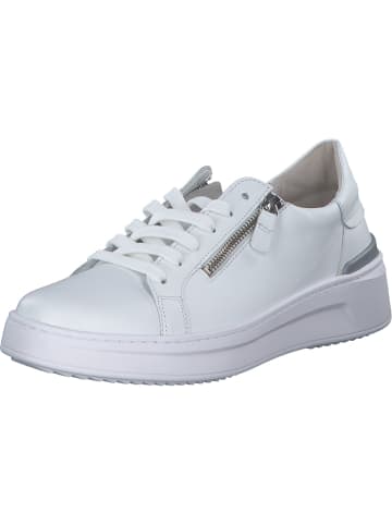 Gabor Schnürschuhe in weiss (grau)
