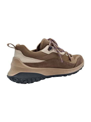 Ecco Wander- & Bergschuhe in Beige
