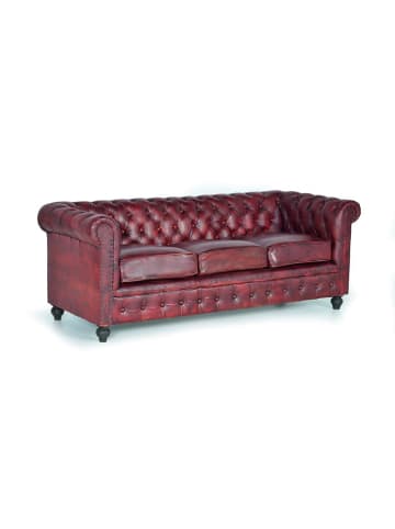 Giner y Colomer Braunes Chester-Ledersofa 3 Sitzer in Brown