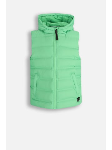 Coccodrillo Gesteppte weste in grün