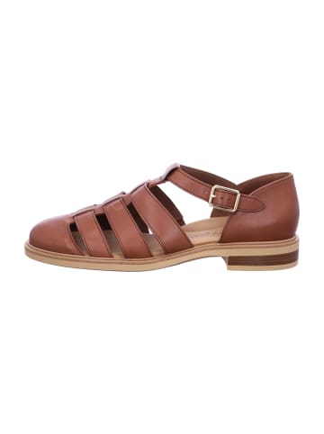 Paul Green Römersandalen in Braun