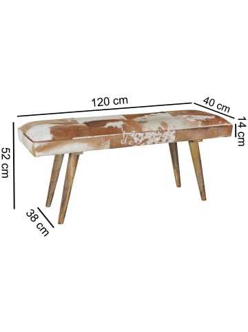 FineBuy Sitzbänk in Bunt / Mango / 120x40x52