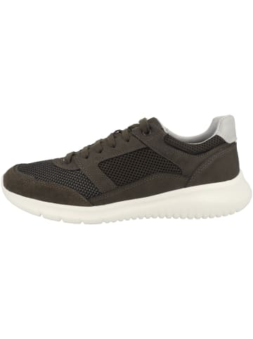 Geox Sneaker low U Monreale B in dunkelgruen