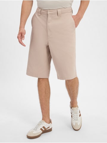 Santa Cruz Shorts Dillon in kitt