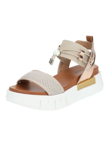 Nero Giardini Sandalen in Beige/Gold