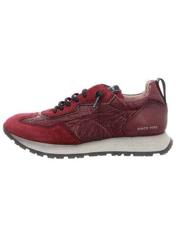Hispanitas Schnürschuhe in wine