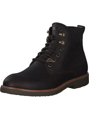 PANAMA JACK Schnürstiefeletten in Marron/Brown