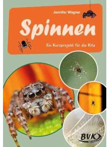 Buch Verlag Kempen Buch - Spinnen