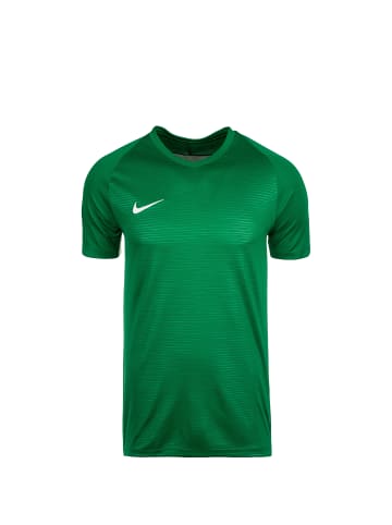 Nike Performance Trikot Tiempo Premier in grün / weiß