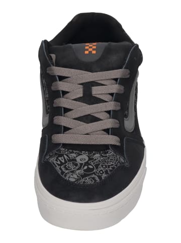 Vans Sneaker Low CALDRONE Skate Doodle in schwarz