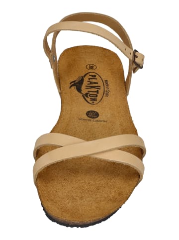Plakton Sandalen FRAN DATE 405029 in gelb