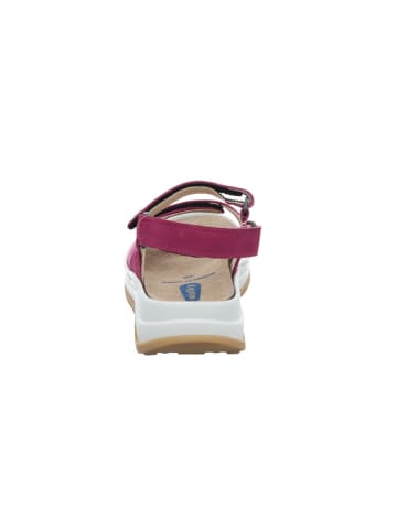 wolky Sandale in lila
