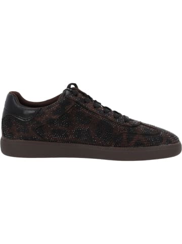 Tamaris Schnürschuhe in MOCCA LEOPARD
