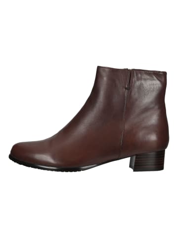 Everybody Stiefelette BARBARA Kastanie
