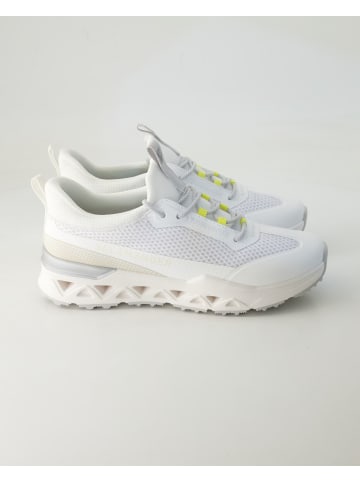 SALAMANDER Sneaker low in Weiß