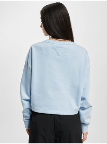 TOMMY JEANS TOMMY JEANS Hoodie in blue