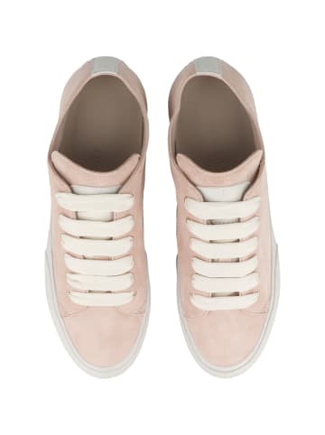 Candice Cooper Sneaker low TWIST S. in rosa