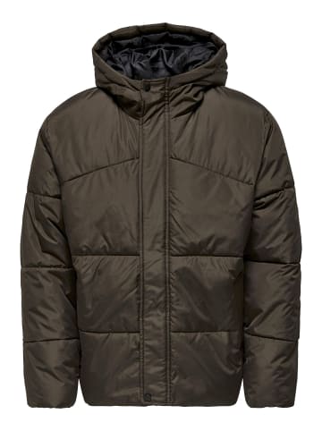 ONLY & SONS Daunenjacke in Hot Fudge
