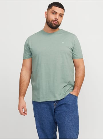 JACK & JONES PLUS T-shirt in Iceberg Green