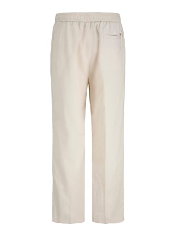 Jack & Jones Klassische Hosen in Feather Gray
