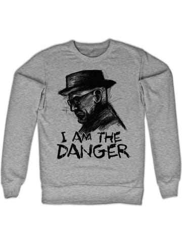 Breaking Bad Pullover in Grau