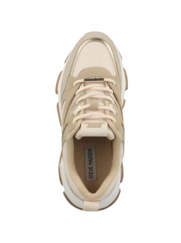 Steve Madden Sneaker low Progressive in hellbraun
