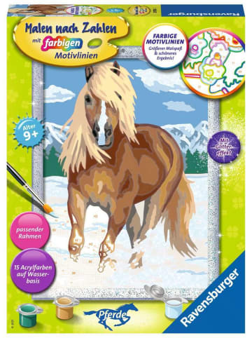 Ravensburger Malprodukte Haflinger im Schnee Malen nach Zahlen Kinder 9-99 Jahre in bunt