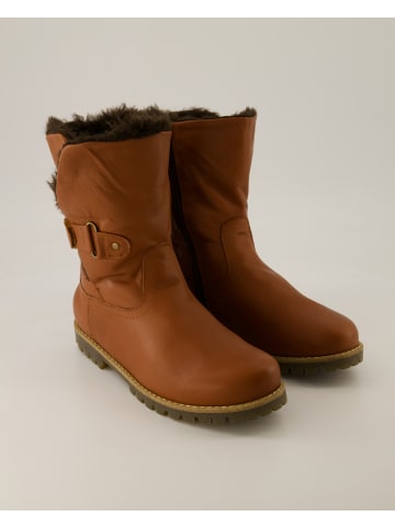 Andrea Conti SHOES Winterstiefel in Braun
