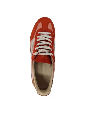 Gant Sneaker Cuzima in Rot