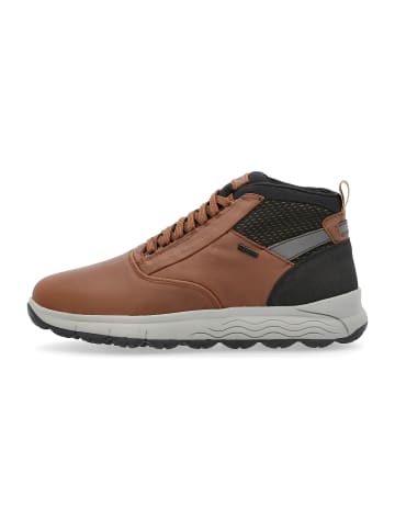 Geox Sneaker für Herren in braun