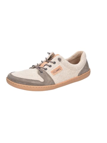 DOGHAMMER Schnürschuh in beige