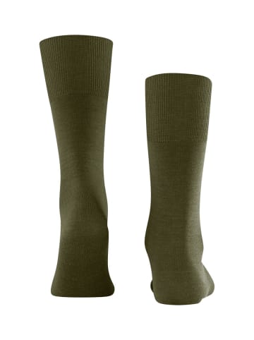 Falke Socken Airport in Grass