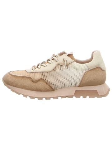Hispanitas Sneaker Low in grün