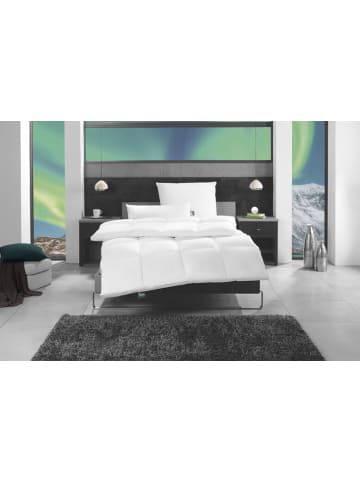f.a.n. Frankenstolz Bettdecke Daune Kassettendecke Island 135x200 cm Warm in weiß